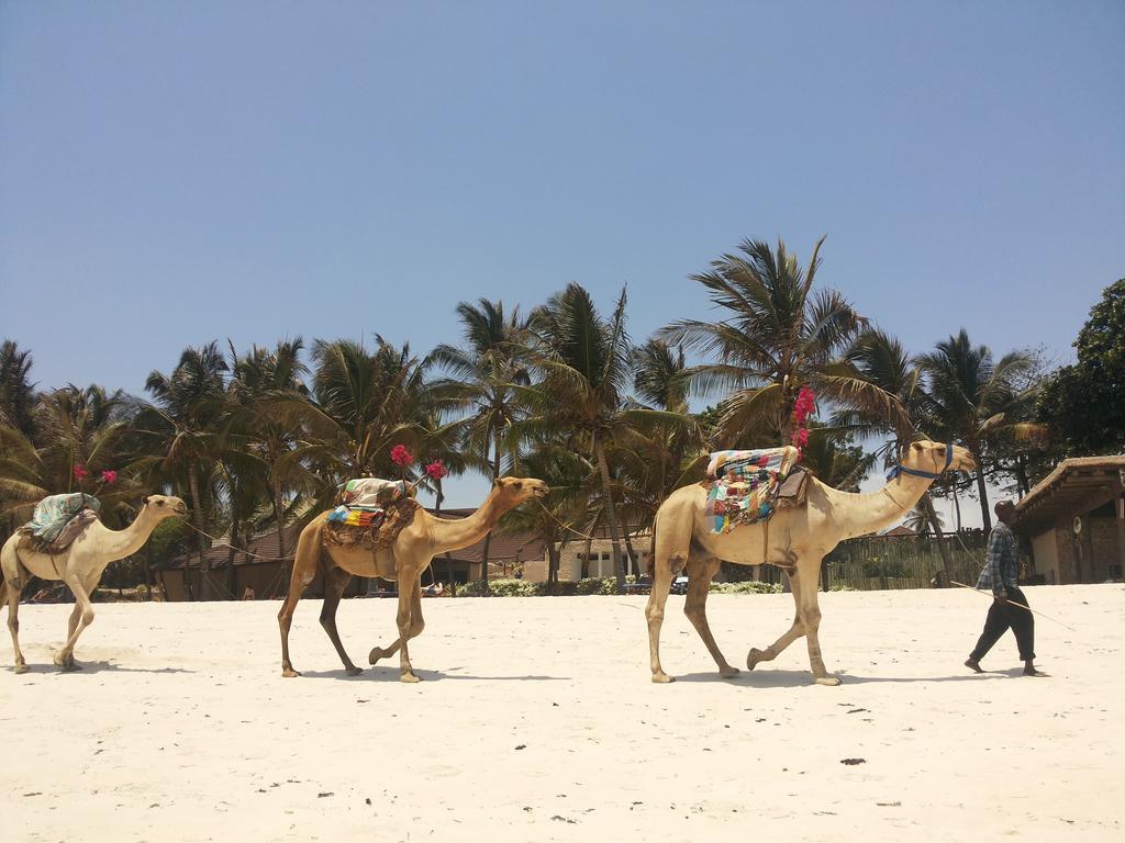 Amani Tiwi Beach Resort Exterior photo
